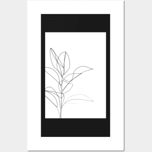 Continuous Line Rubber Plant Drawing Posters and Art